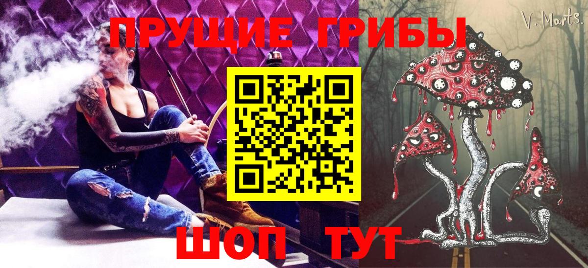 Галлюциногенные грибы MAGIC MUSHROOMS  Вход с VPN  где купить наркоту  Карачаевск 