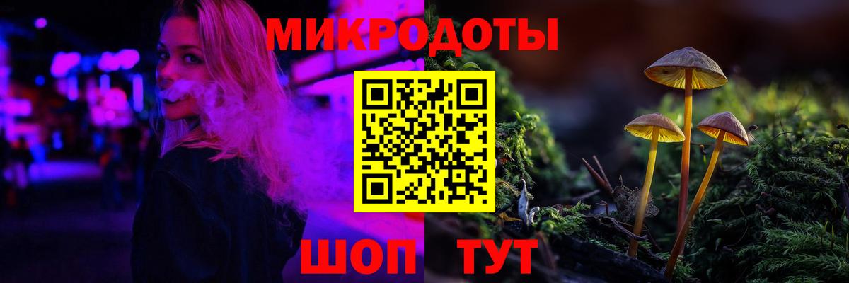 Псилоцибиновые грибы мухоморы Карачаевск